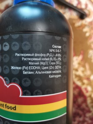 IMG_20221028_121600.jpg IMG_20221028_121600.jpg