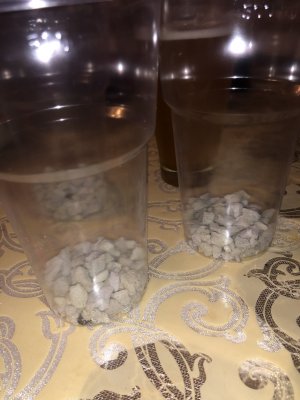 IMG_6934.JPG IMG_6934.JPG