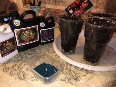 IMG_6935.JPG IMG_6935.JPG