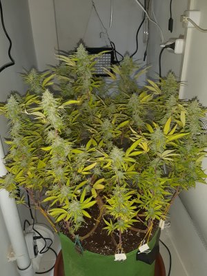 20221103_112227.jpg 20221103_112227.jpg