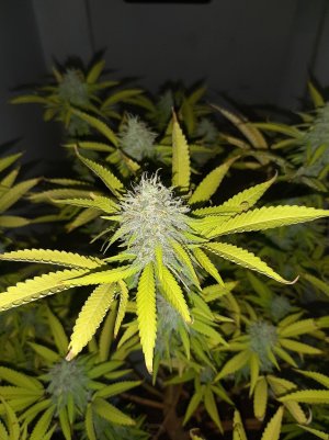 20221103_112134.jpg 20221103_112134.jpg