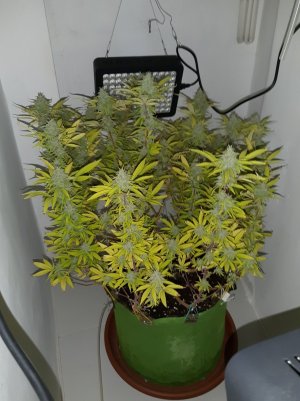 20221104_132410.jpg 20221104_132410.jpg