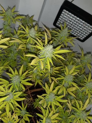 20221104_132339.jpg 20221104_132339.jpg