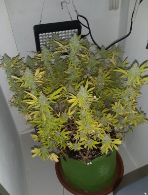 20221104_142045.jpg 20221104_142045.jpg