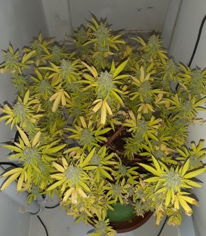 20221104_213418.jpg 20221104_213418.jpg