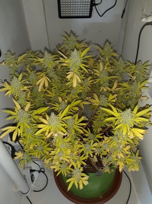 20221104_213434.jpg 20221104_213434.jpg