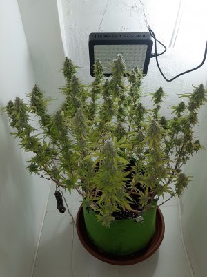 20221104_213659.jpg 20221104_213659.jpg