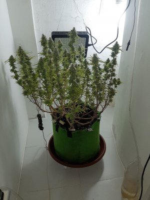 20221104_213726.jpg 20221104_213726.jpg