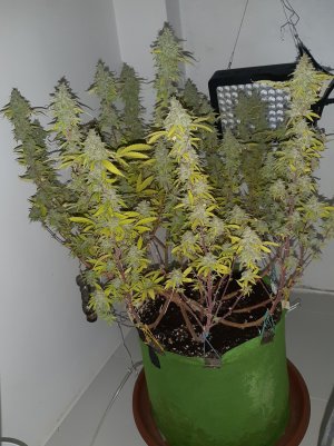 20221104_221028.jpg 20221104_221028.jpg