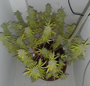 20221105_124229.jpg 20221105_124229.jpg