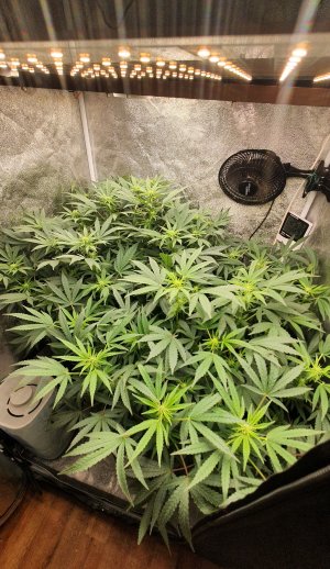 20221106_003651.jpg 20221106_003651.jpg