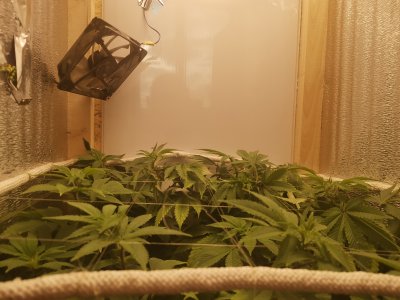 IMG_20221105_112714.jpg IMG_20221105_112714.jpg