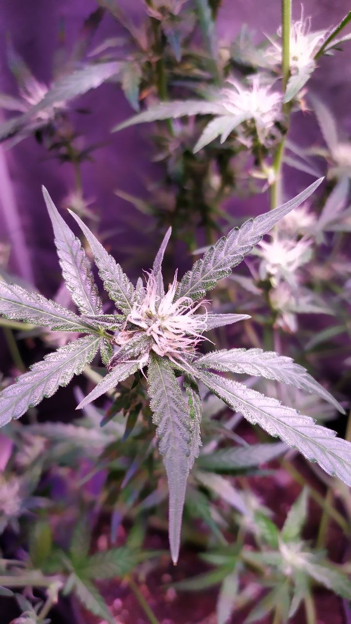 photo_2022-11-06_14-40-22.jpg photo_2022-11-06_14-40-22.jpg