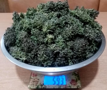 бочка.jpg бочка.jpg