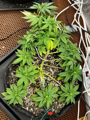 C7894C1C-3760-4B5B-AF18-517589941A70.jpeg C7894C1C-3760-4B5B-AF18-517589941A70.jpeg