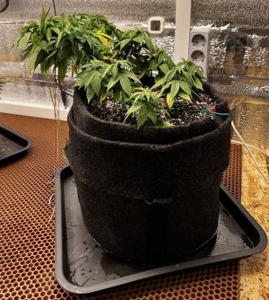 876F1FD4-09A7-424E-AC1A-6964C980E13C.jpeg 876F1FD4-09A7-424E-AC1A-6964C980E13C.jpeg