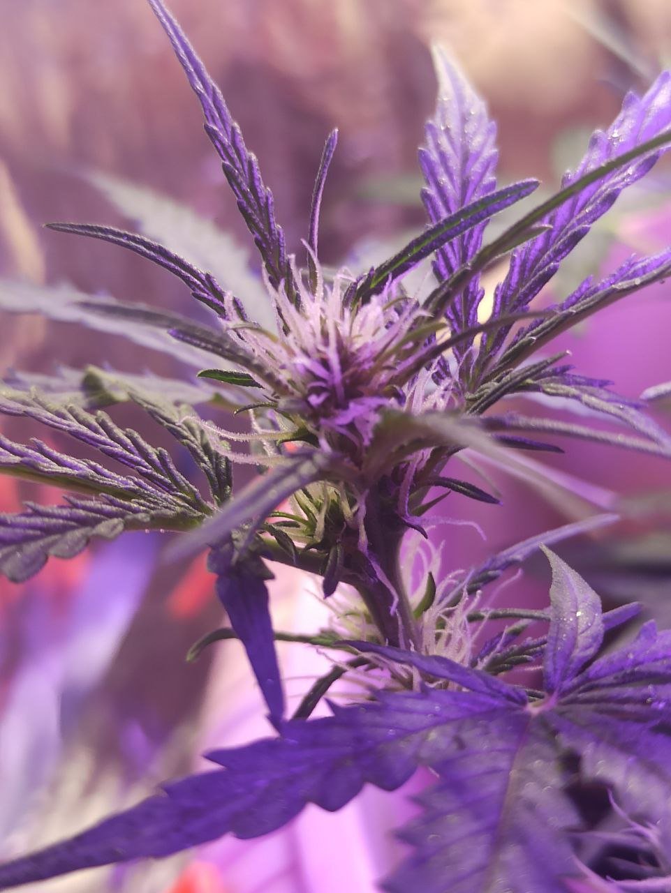 photo_2022-11-11_01-12-00.jpg photo_2022-11-11_01-12-00.jpg