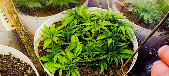 PSX_20221110_175852.jpg PSX_20221110_175852.jpg