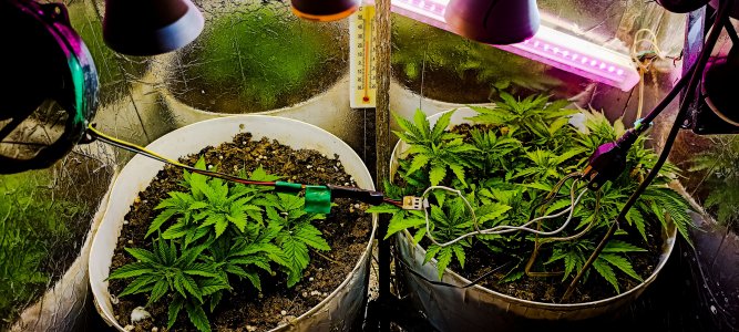 PSX_20221111_051305.jpg PSX_20221111_051305.jpg