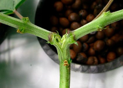 A97EC4EF-A3AC-47EF-AEE5-76D60B908B09.jpeg A97EC4EF-A3AC-47EF-AEE5-76D60B908B09.jpeg