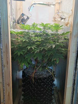 IMG_20221112_122918.jpg IMG_20221112_122918.jpg