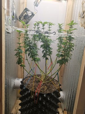 IMG_20221112_161840.jpg IMG_20221112_161840.jpg