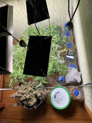 6280F298-DD34-4E8B-AEB3-53DC861EB907.jpeg 6280F298-DD34-4E8B-AEB3-53DC861EB907.jpeg