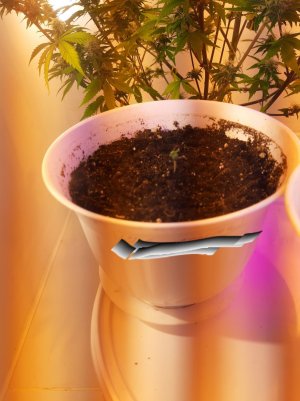 20221116_090414.jpg 20221116_090414.jpg