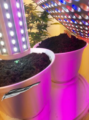 20221116_090153.jpg 20221116_090153.jpg