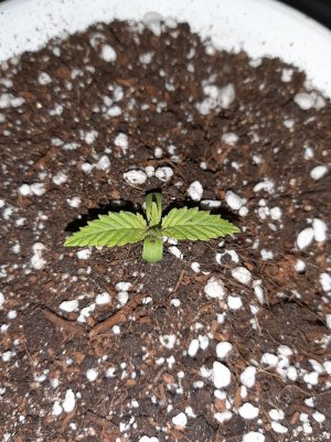 20221116_092353.jpg 20221116_092353.jpg