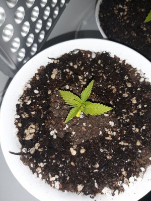 20221116_104222.jpg 20221116_104222.jpg