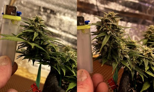 268EF022-18A2-485C-989B-228B9DDF03A0.jpeg 268EF022-18A2-485C-989B-228B9DDF03A0.jpeg