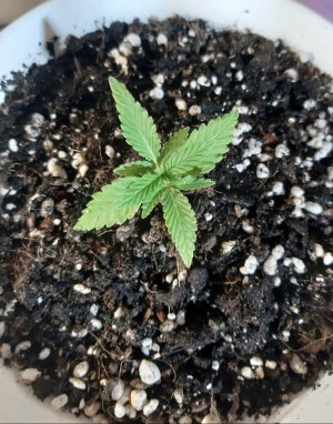 20221116_181341.jpg 20221116_181341.jpg