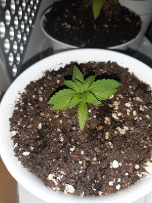 20221116_181540.jpg 20221116_181540.jpg