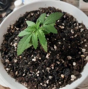 20221117_091024.jpg 20221117_091024.jpg