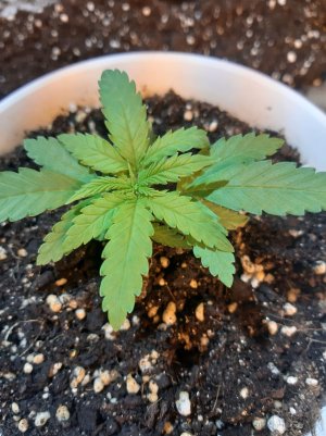 20221117_093411.jpg 20221117_093411.jpg