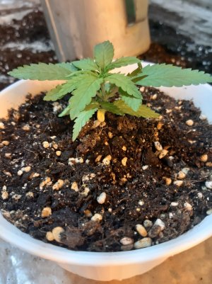 20221117_093427.jpg 20221117_093427.jpg