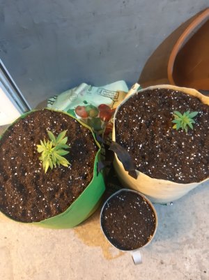 20221117_093603.jpg 20221117_093603.jpg