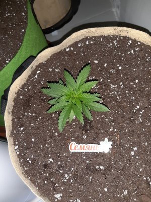 20221117_143116.jpg 20221117_143116.jpg