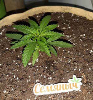 20221117_143045.jpg 20221117_143045.jpg