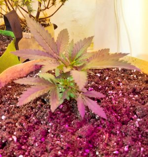 20221117_210429.jpg 20221117_210429.jpg