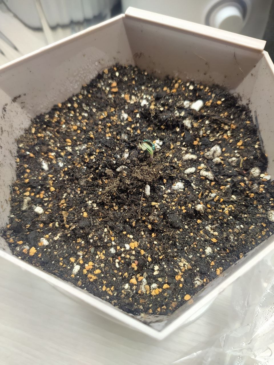 1 — копия.jpg