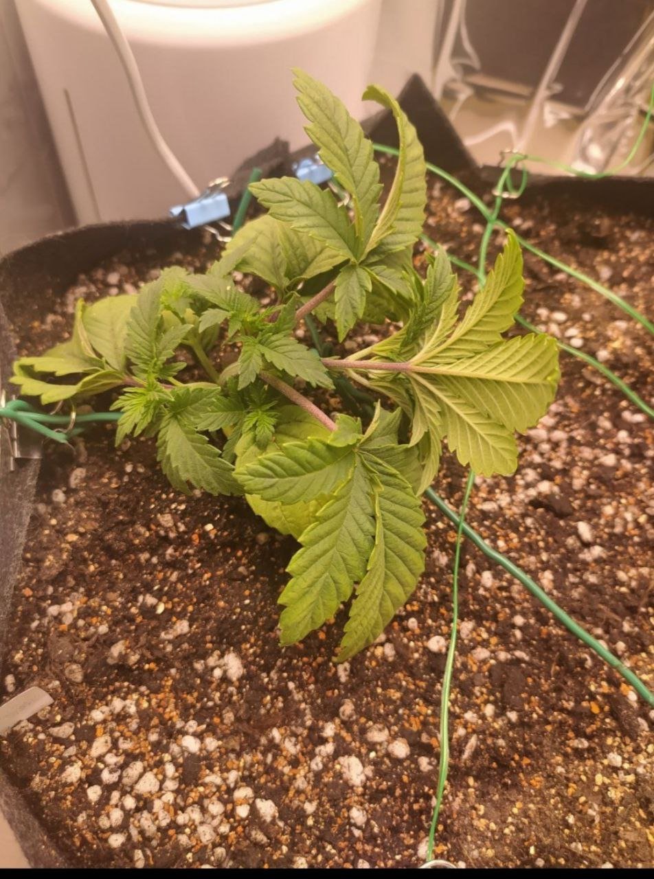 18 — копия.jpg