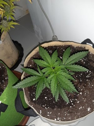 20221118_105951.jpg 20221118_105951.jpg