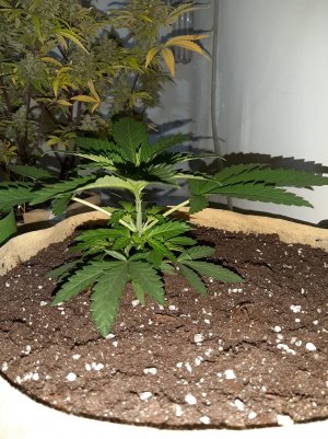 20221118_113917.jpg 20221118_113917.jpg