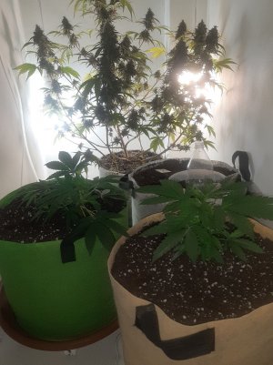 20221118_113806.jpg 20221118_113806.jpg