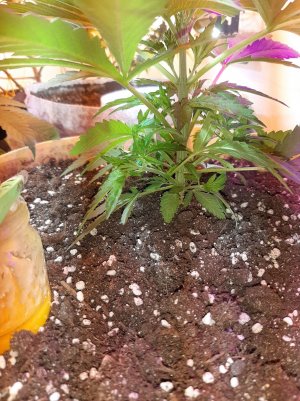 20221119_120023.jpg 20221119_120023.jpg