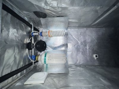 3A12E658-2CF8-4D2F-89FC-95C8B77DBE7C.jpeg 3A12E658-2CF8-4D2F-89FC-95C8B77DBE7C.jpeg