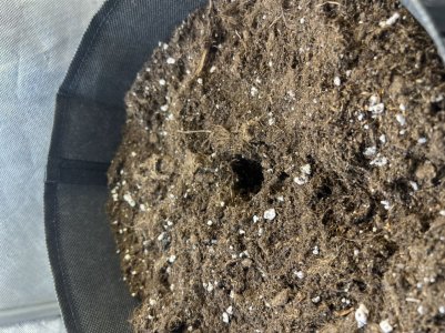 E5BA2778-0FC1-44F6-8DE7-7B1D917A141E.jpeg E5BA2778-0FC1-44F6-8DE7-7B1D917A141E.jpeg