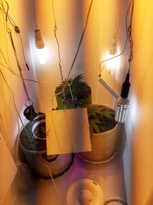 20221119_122049.jpg 20221119_122049.jpg